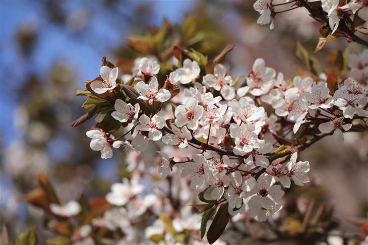 佳能eos80d拍照怎么样,七年前的佳能eos80d相机值得入手