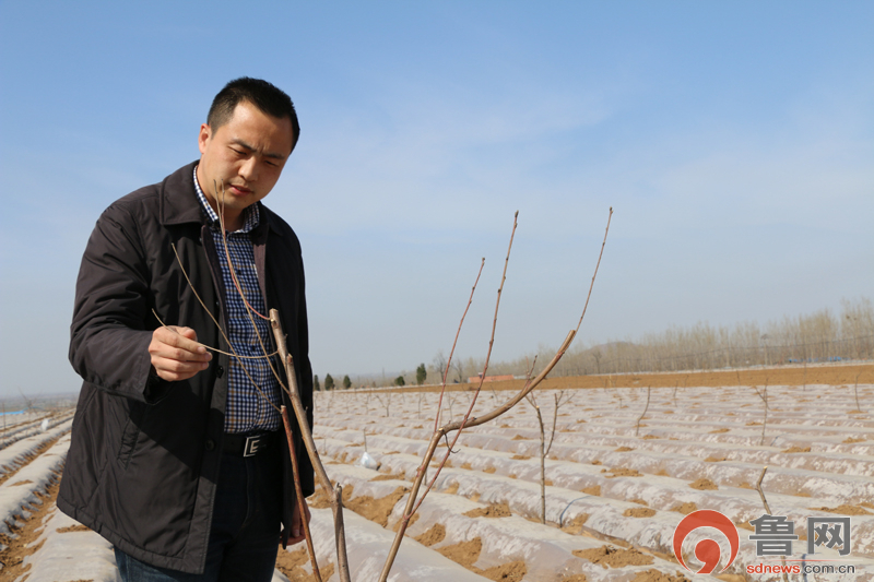 驻村第一书记徐延明：不谈空话，实打实带村民致富