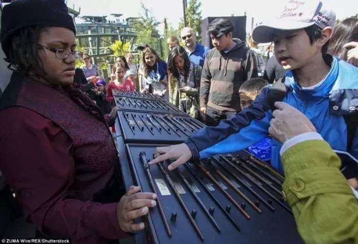 麻瓜闯入巫师世界,麻瓜环球旅行