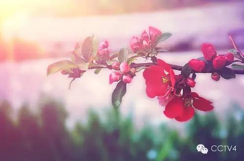 四月值得纪念的日子,四月值得你关注的日子