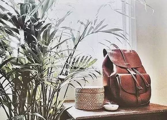 双肩包最全攻略从穷学生到富名媛都能种草！