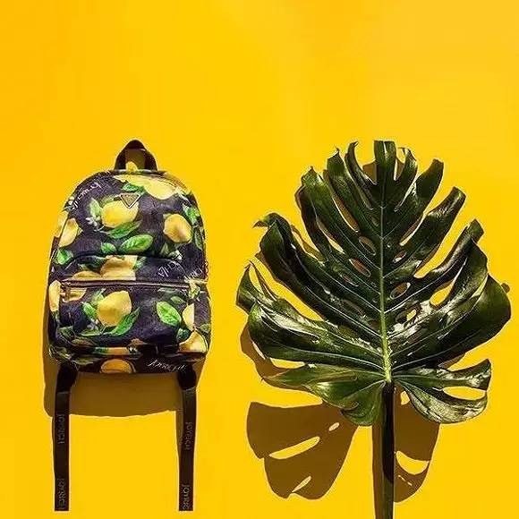 双肩包最全攻略从穷学生到富名媛都能种草！