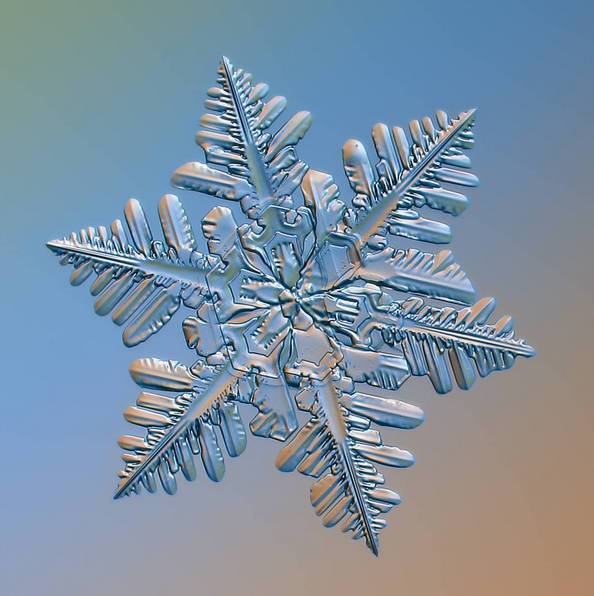 摄影最美人物照片,摄影人的第一张照片