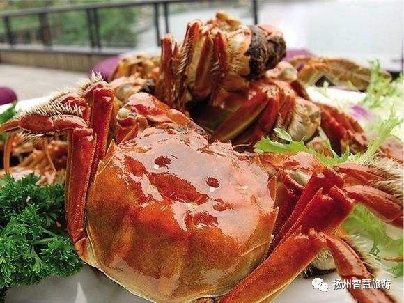 扬州螃蟹,江苏吃螃蟹最出名的地方有哪两个