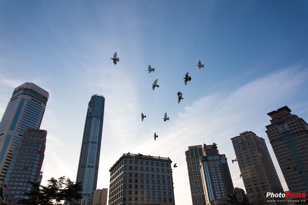 适马18-50mmf2.8缺点和不足,适马24-70f2.8和适马三剑客怎么选