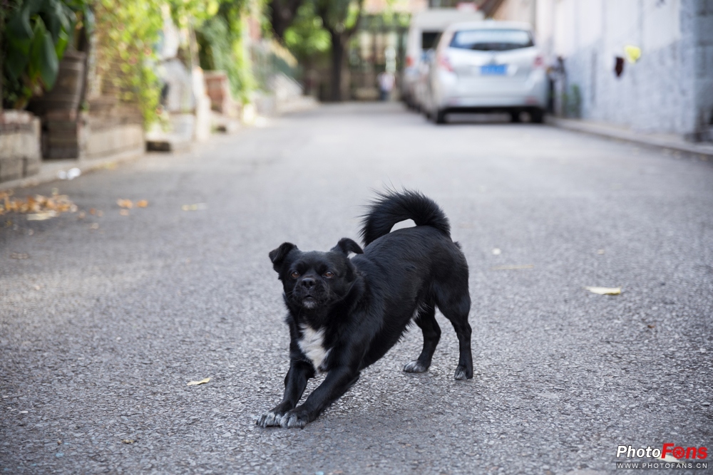 适马18-50mmf2.8缺点和不足,适马24-70f2.8和适马三剑客怎么选