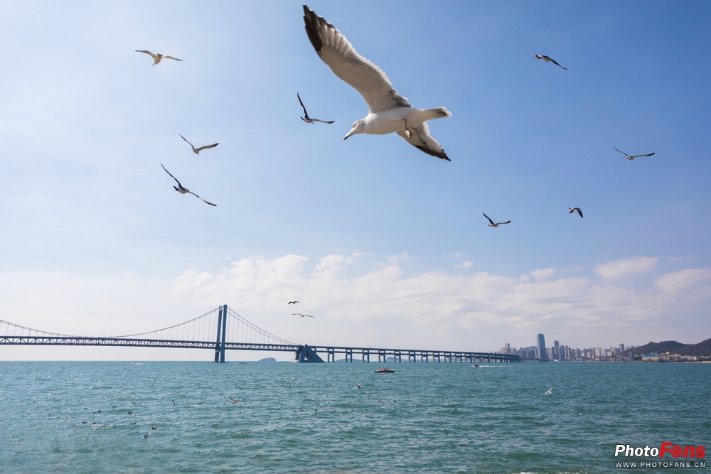 适马18-50mmf2.8缺点和不足,适马24-70f2.8和适马三剑客怎么选