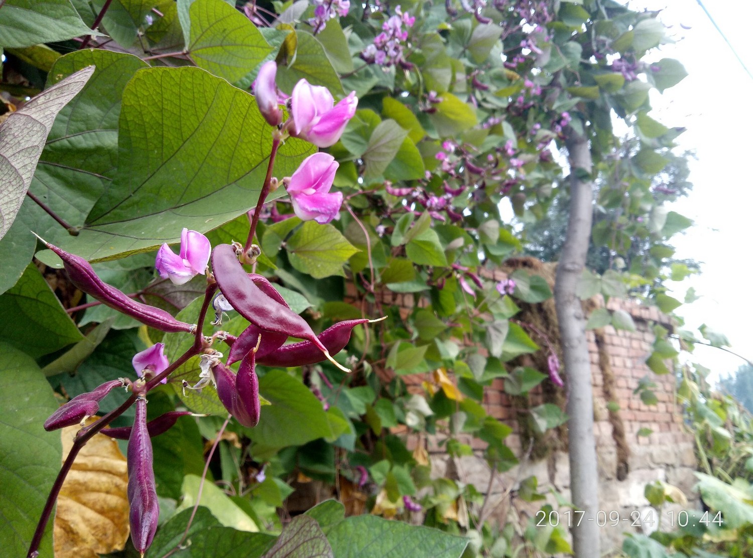 西大洋十八渡,西大洋水库风景区十八渡