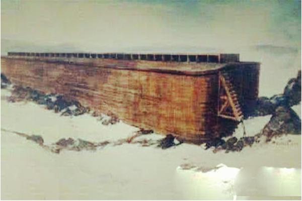 有关诺亚方舟发现视频,诺亚方舟进化之谜