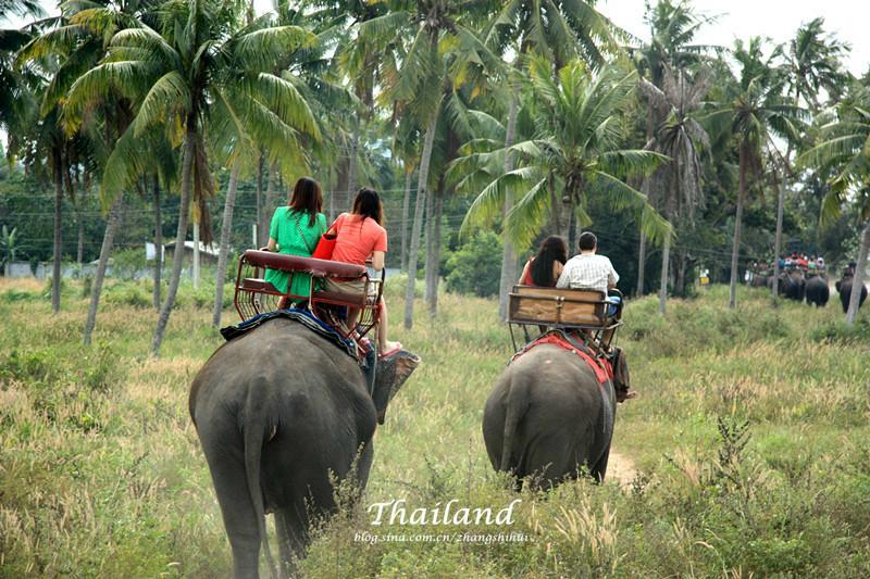 泰国芭提雅旅游景点,来泰国芭提雅必去的8个景点