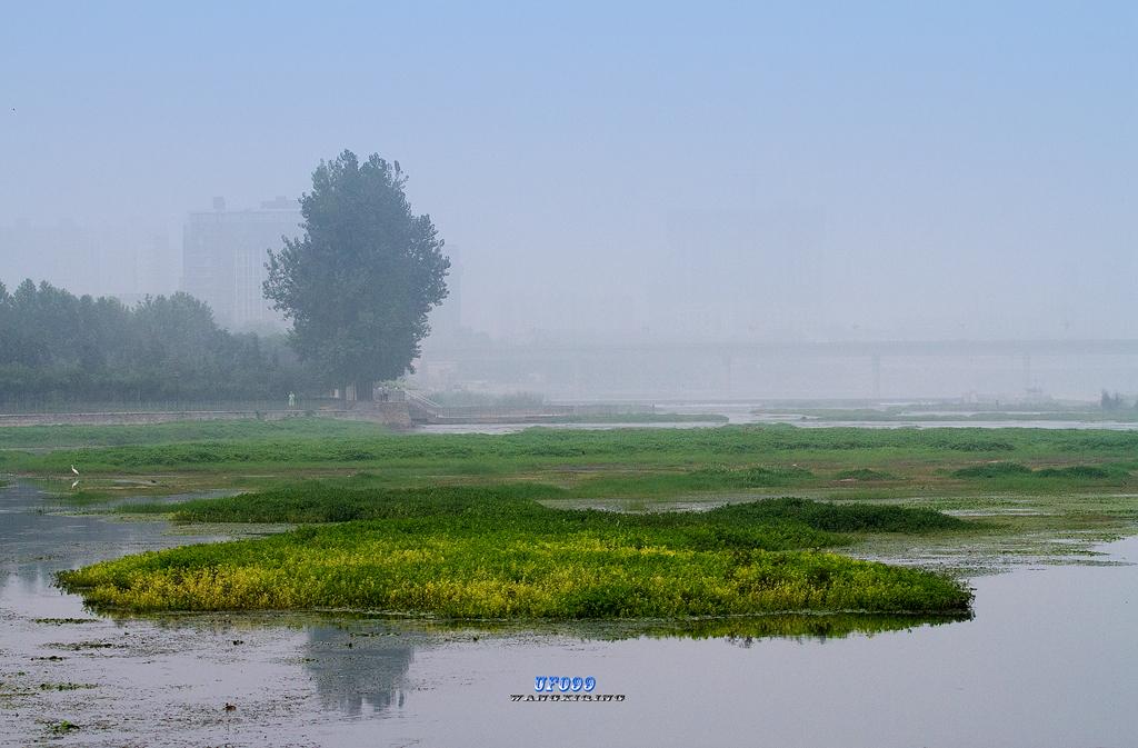 东北五仙刺猬报恩,刺猬仙报恩故事大全