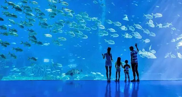 深圳龙岗周边游玩景点推荐,深圳及周边亲子游好去处