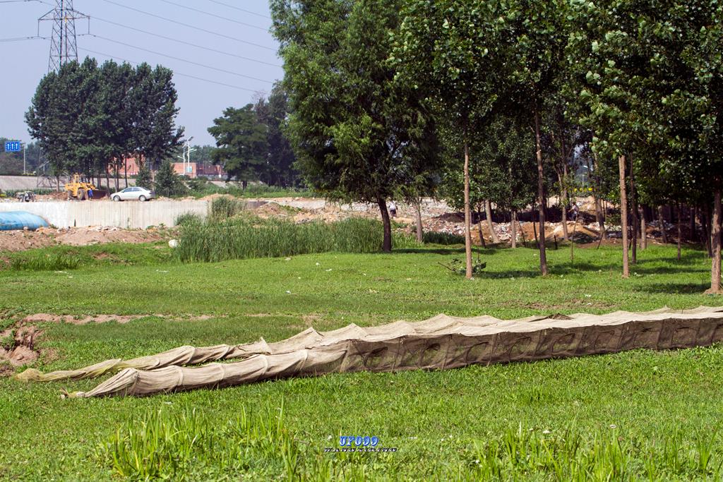 东北五仙刺猬报恩,刺猬仙报恩故事大全