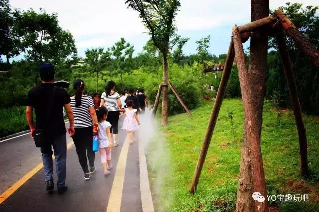 济南野生动物世界一日游自驾,济南野生动物世界一日游攻略