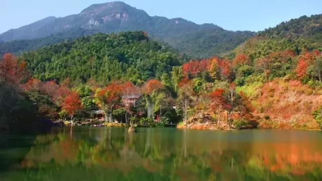 深圳龙岗周边游玩景点推荐,深圳及周边亲子游好去处