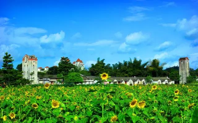 深圳龙岗周边游玩景点推荐,深圳及周边亲子游好去处