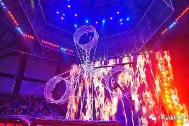 济南野生动物世界一日游自驾,济南野生动物世界一日游攻略