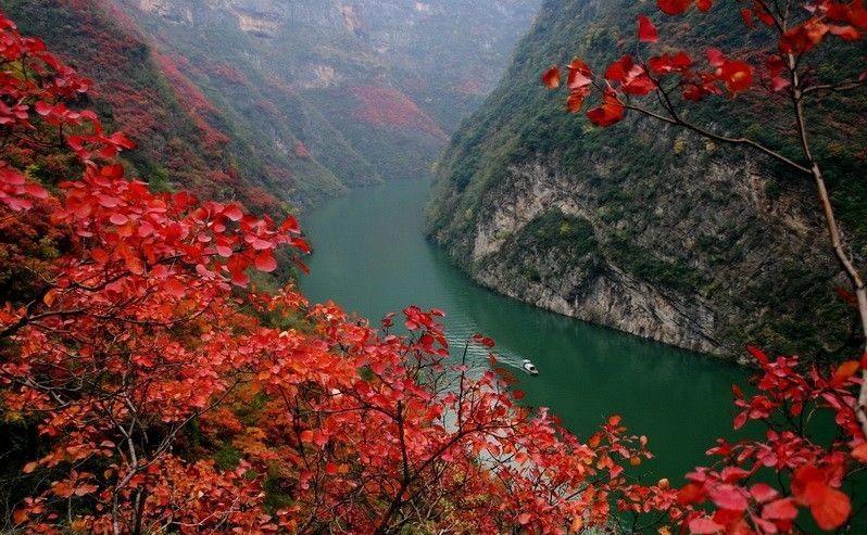 红叶满渝！麻将之余不如带上妹儿共赴巫山耍下！