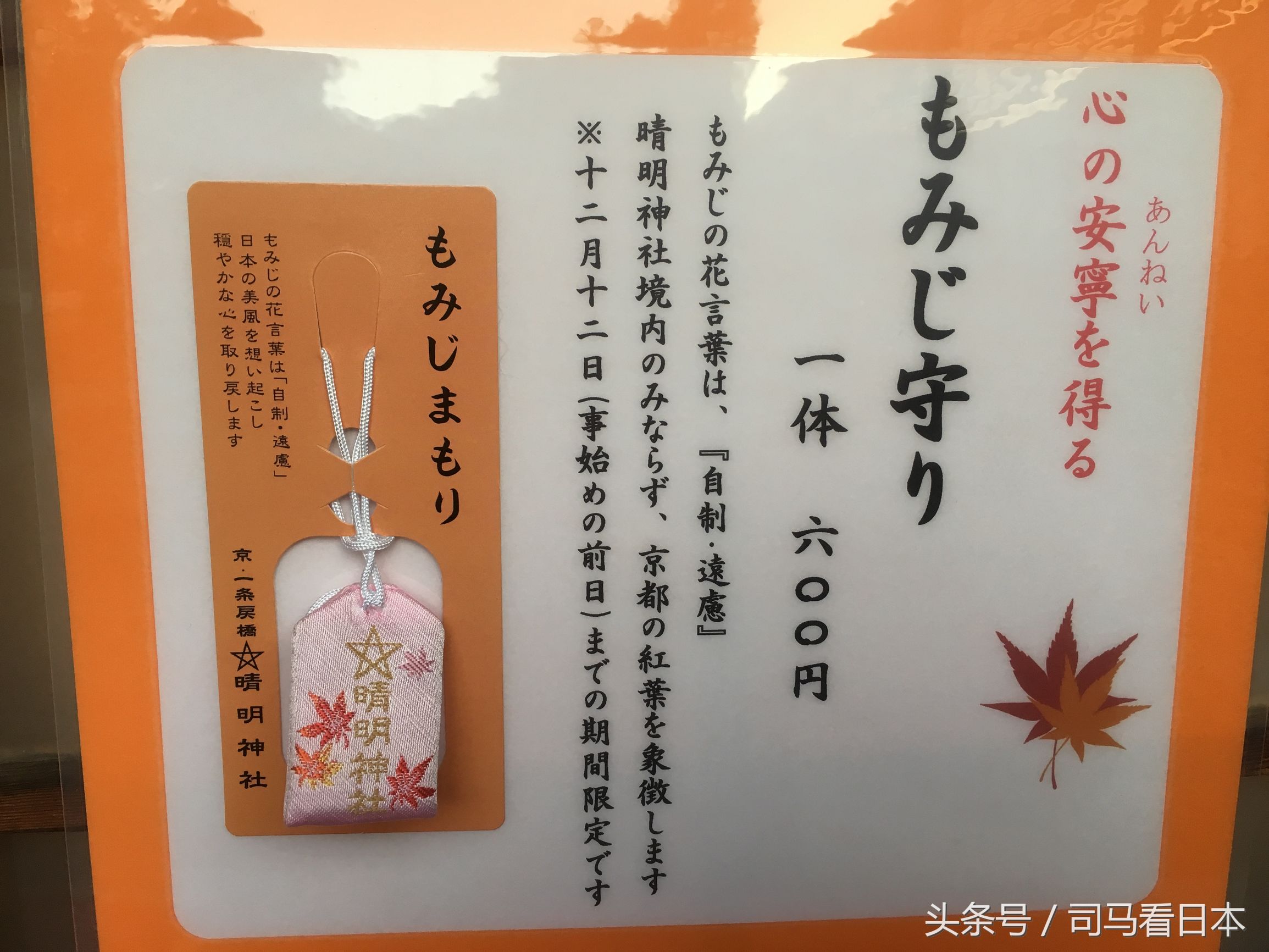 阴阳师中安倍晴明的身份,阴阳师衍生作安倍晴明的现代生活