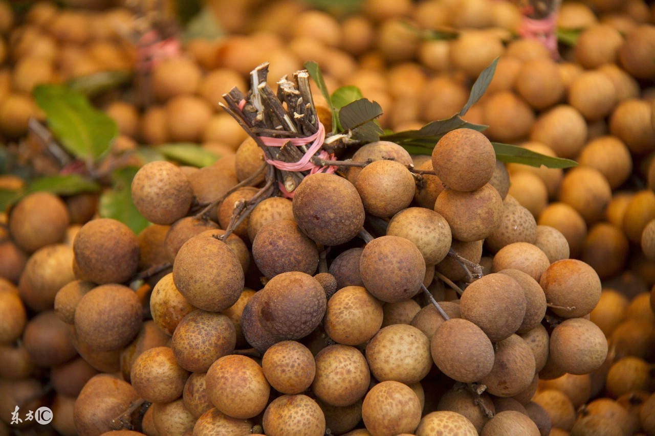 鍚冩鍦嗕激闃村悧,妗傚渾婊嬮槾杩樻槸浼ら槾