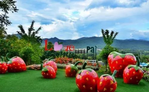 FM专线｜清迈——八万多的Tiffany毛线也买不到的诗和远方