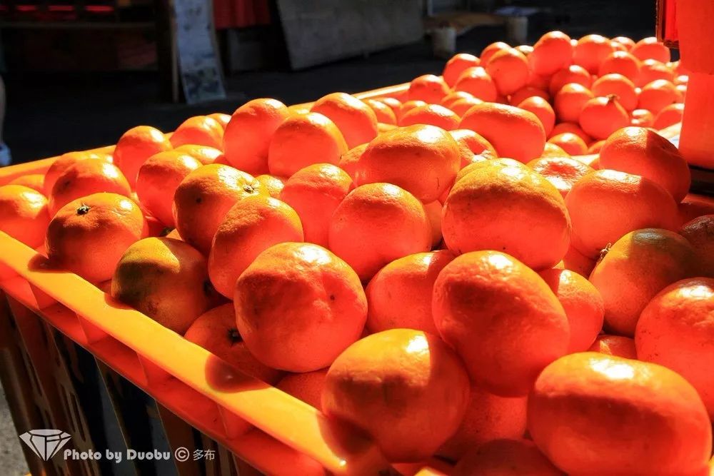 济州岛小众宝藏,世界城市寻宝记济州岛