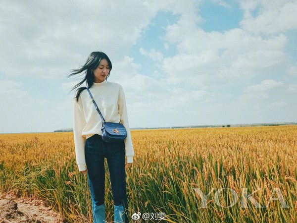 2017必买衣服单品,2022年衣服排行榜