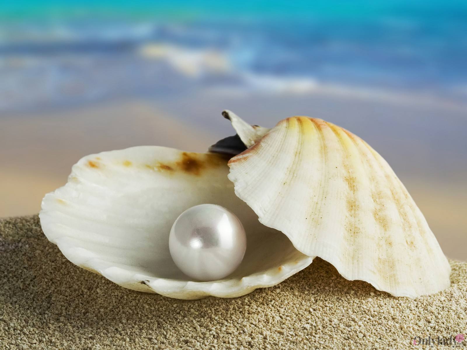 三亚都有什么特产能够带,去三亚有什么特产值得买