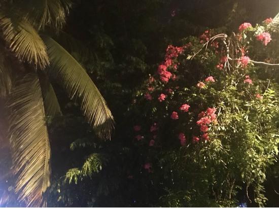 三亚吃喝玩乐亲身攻略——两匹北方的大姑娘吃喝玩乐在三亚