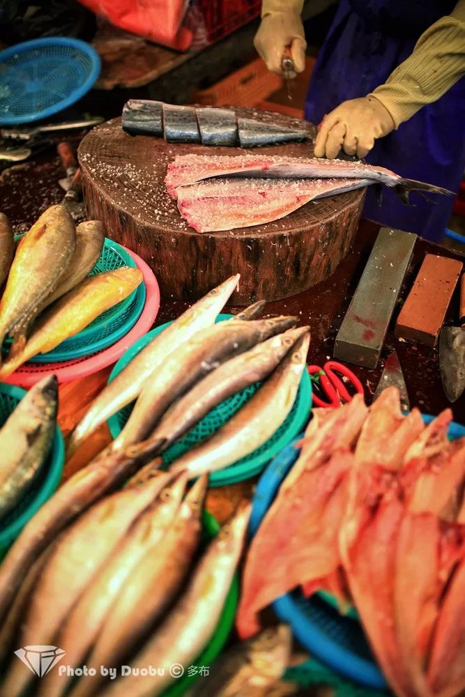 济州岛小众宝藏,世界城市寻宝记济州岛