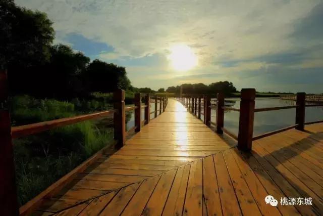 桃源双洲生态公园2020年,桃源双洲公园游乐场新增加设施