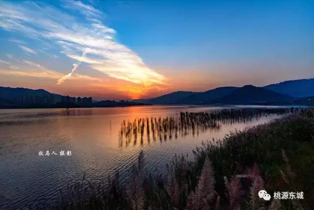 桃源双洲生态公园2020年,桃源双洲公园游乐场新增加设施