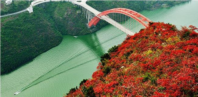 红叶满渝！麻将之余不如带上妹儿共赴巫山耍下！