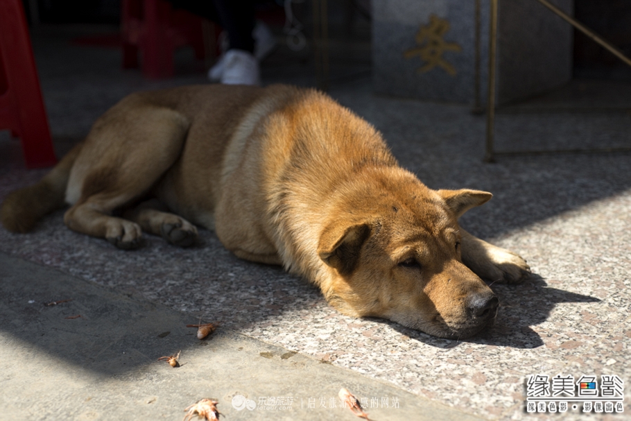 韶关新丰山间小溪自然风景,新丰最美景点