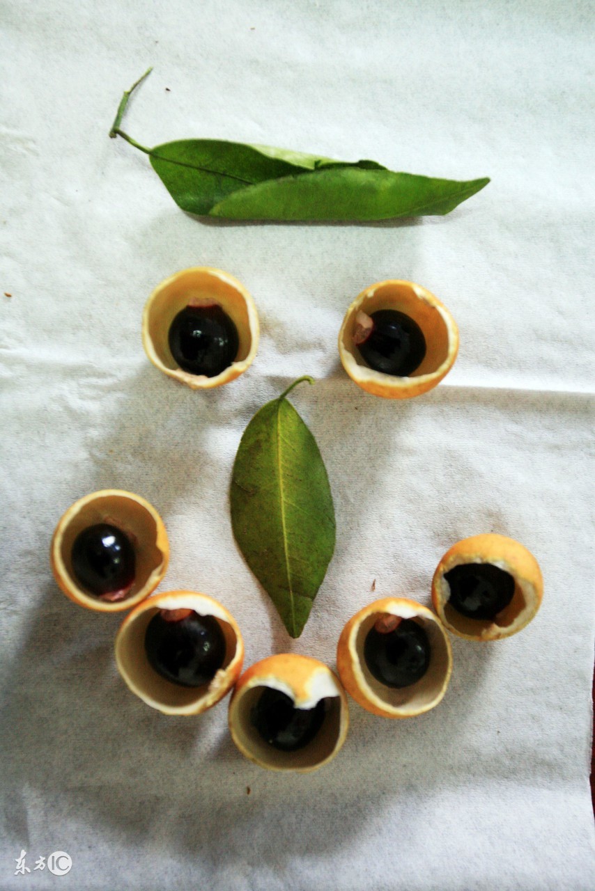 鍚冩鍦嗕激闃村悧,妗傚渾婊嬮槾杩樻槸浼ら槾