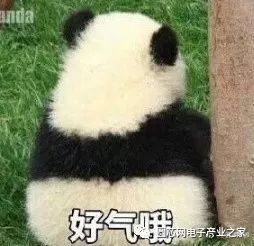 再不脱单 连HR都不要你了