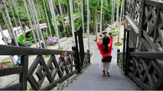 三亚吃喝玩乐亲身攻略——两匹北方的大姑娘吃喝玩乐在三亚