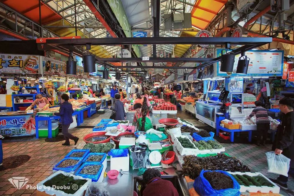 济州岛小众宝藏,世界城市寻宝记济州岛