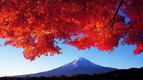 去日本血拼购物，到底哪些值得买？