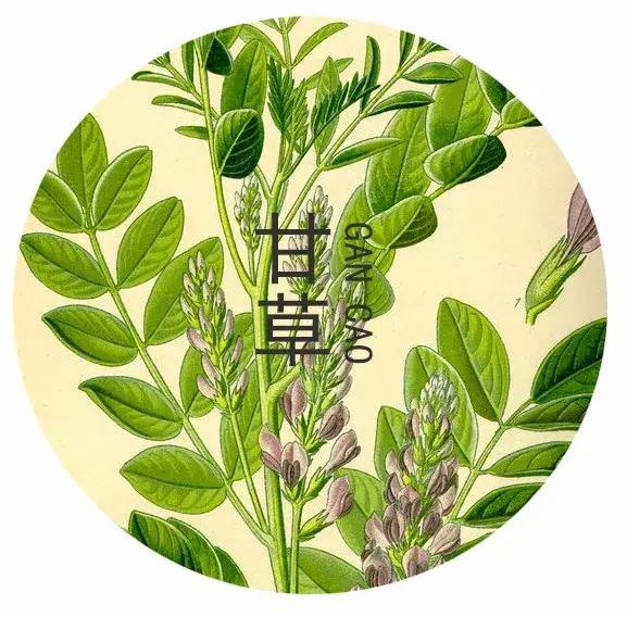 什么补气血补雌激素,调理内分泌激素平衡的食补