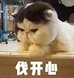 秋冬应该买什么面霜和乳液,秋冬水乳面霜推荐