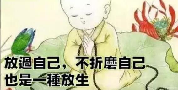 又双叒叕翻拍了！两位新晋小鲜肉你更看好谁？