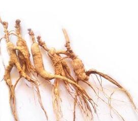 买人参科普,网上买的干人参应该注意哪几点