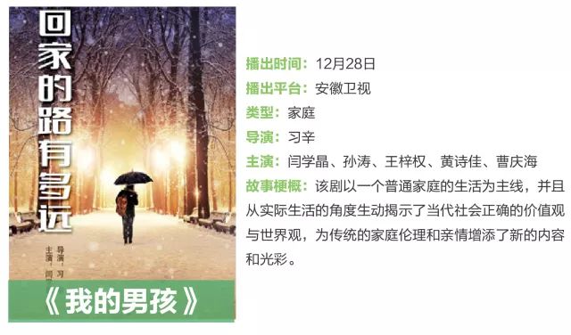 琅琊榜2司马懿当皇帝,大军师司马懿连续剧完全版解说