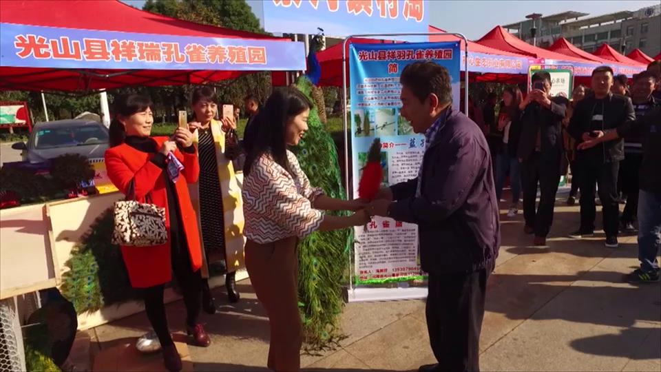 光山电商扶贫,光山电商扶贫新模式