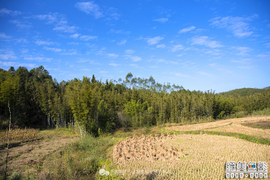 韶关新丰山间小溪自然风景,新丰最美景点