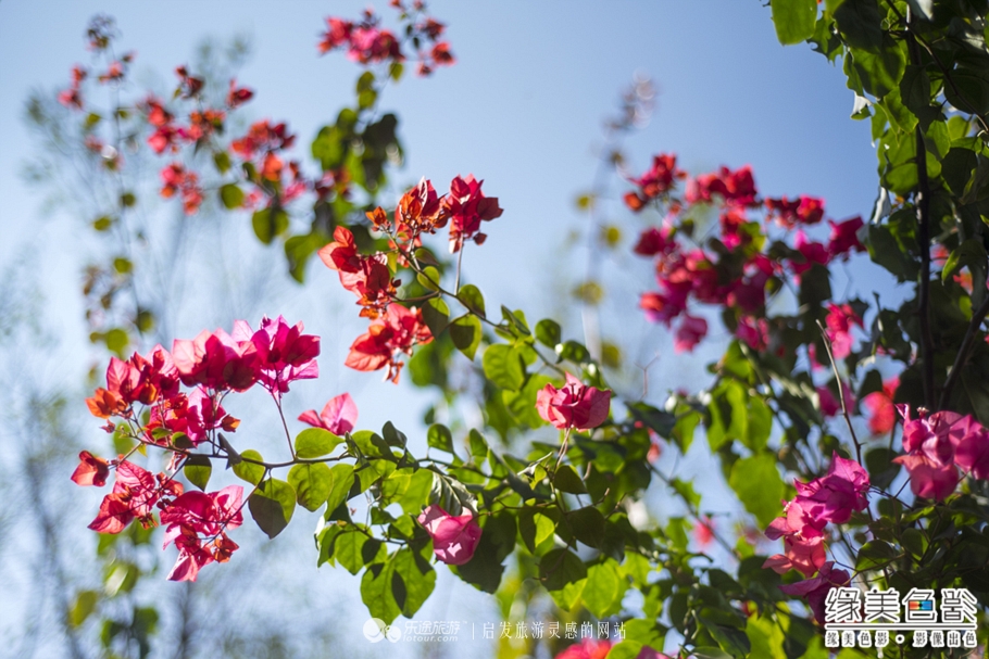 韶关新丰山间小溪自然风景,新丰最美景点