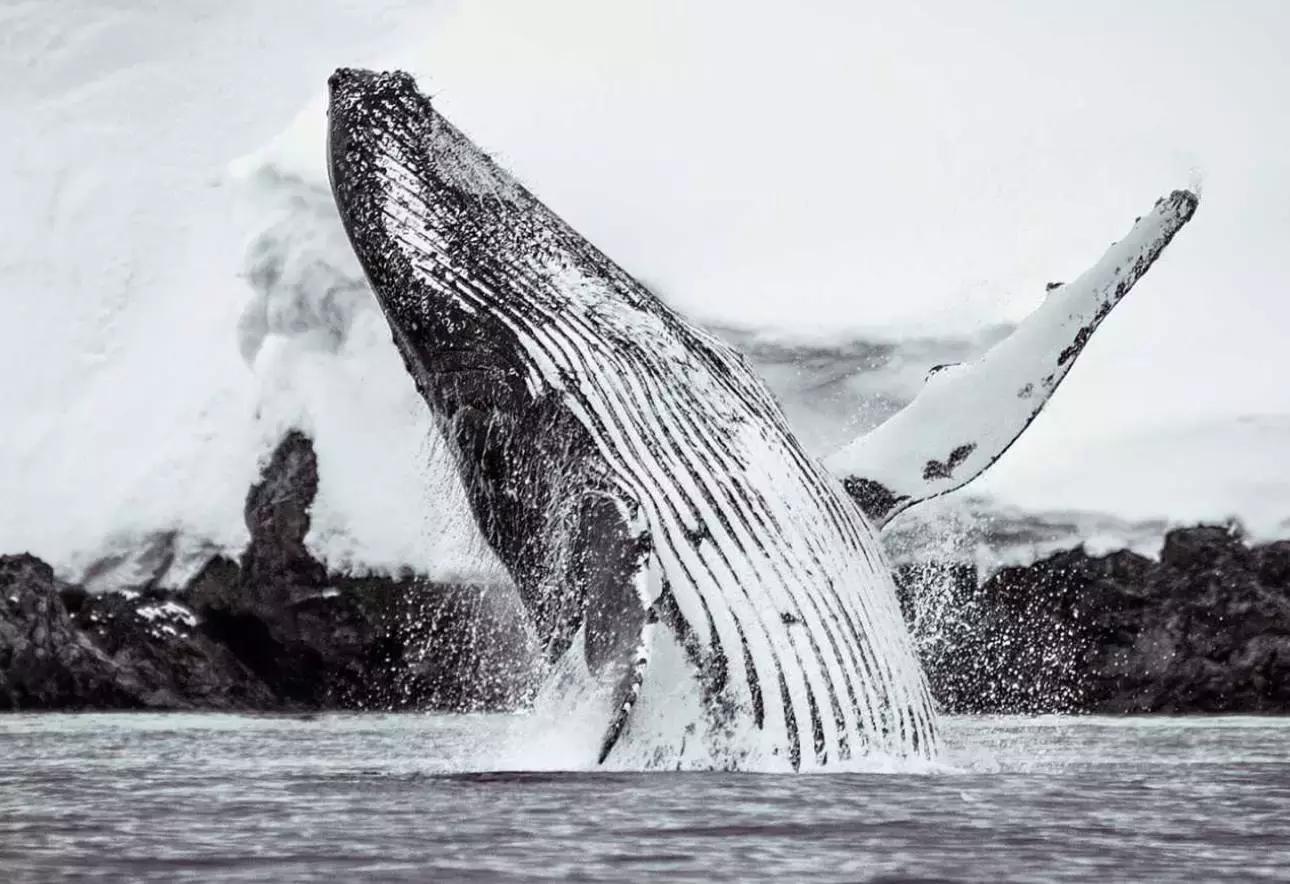 澳航全球最长航线计划,澳航几月能直飞中国