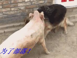 给大家推荐一个合适情侣玩的游戏,合适异地恋情侣玩的游戏