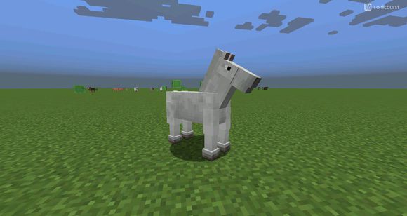 我的世界老玩家才知道的各种事情,我的世界老玩家知道的一些知识